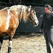 Tressa with rescued horse "Esperanzero", building trust through mindful interactions.